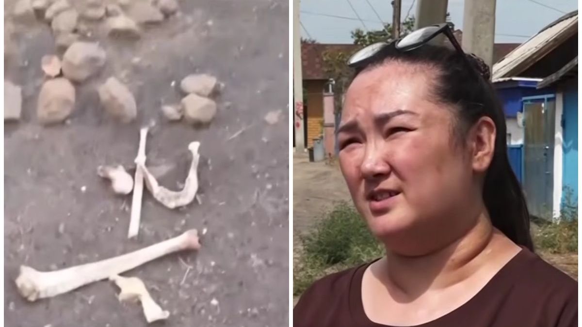 Останки нашли на стройке в Семее