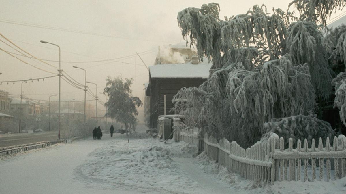 Морозы в городе