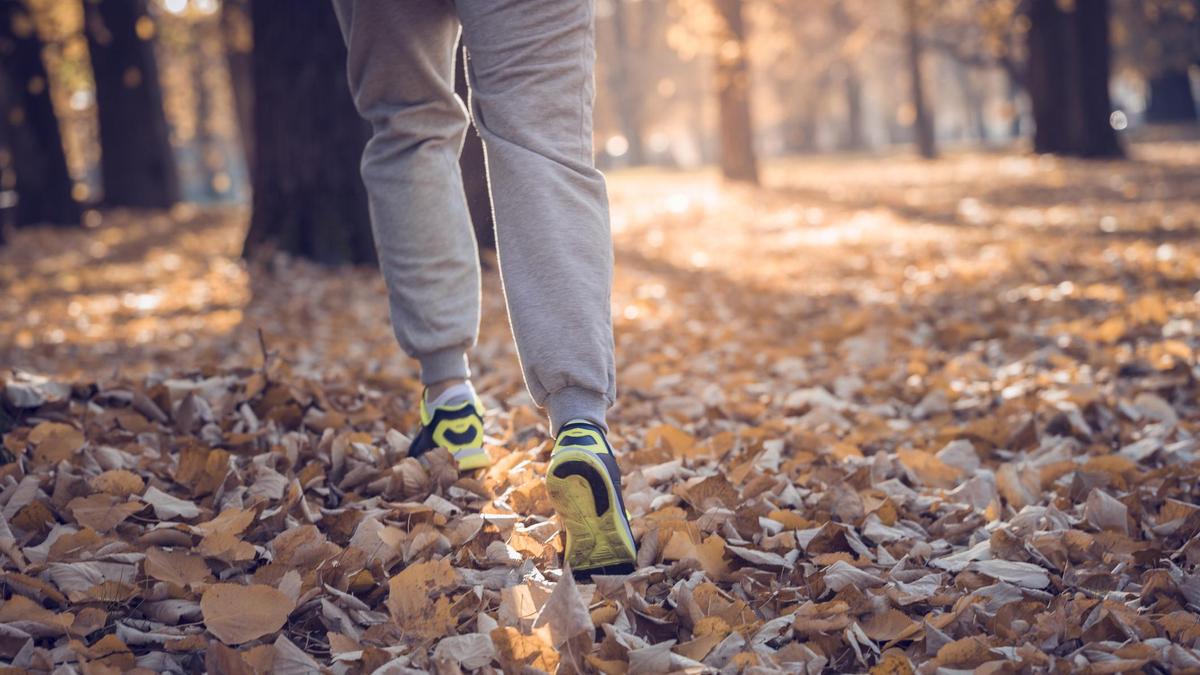 Мужчина гуляет в парке