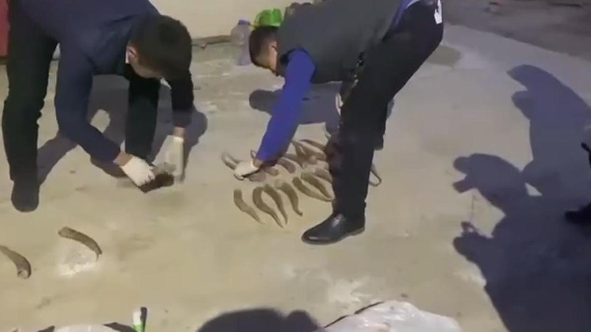 Изъяли рога Изъяли рога