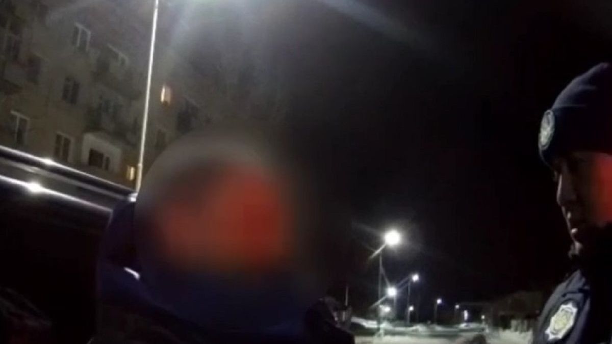 Водитель и полицейский