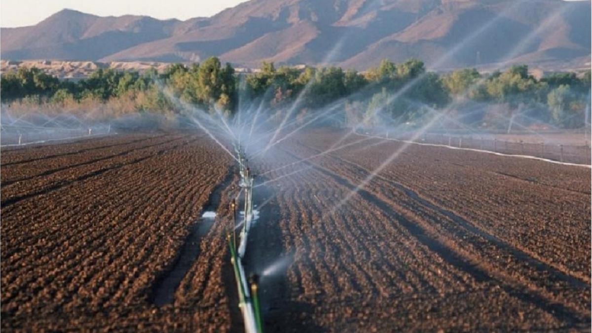 Қызылордада 2025 жылға дейін жергілікті каналдарды цифрландыруға мән беріледі Қызылордада 2025 жылға дейін жергілікті каналдарды цифрландыруға мән беріледі