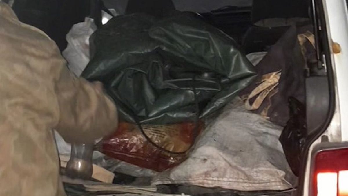 Мешки в багажнике