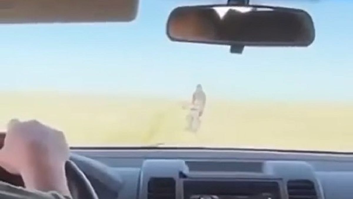 Пропавший