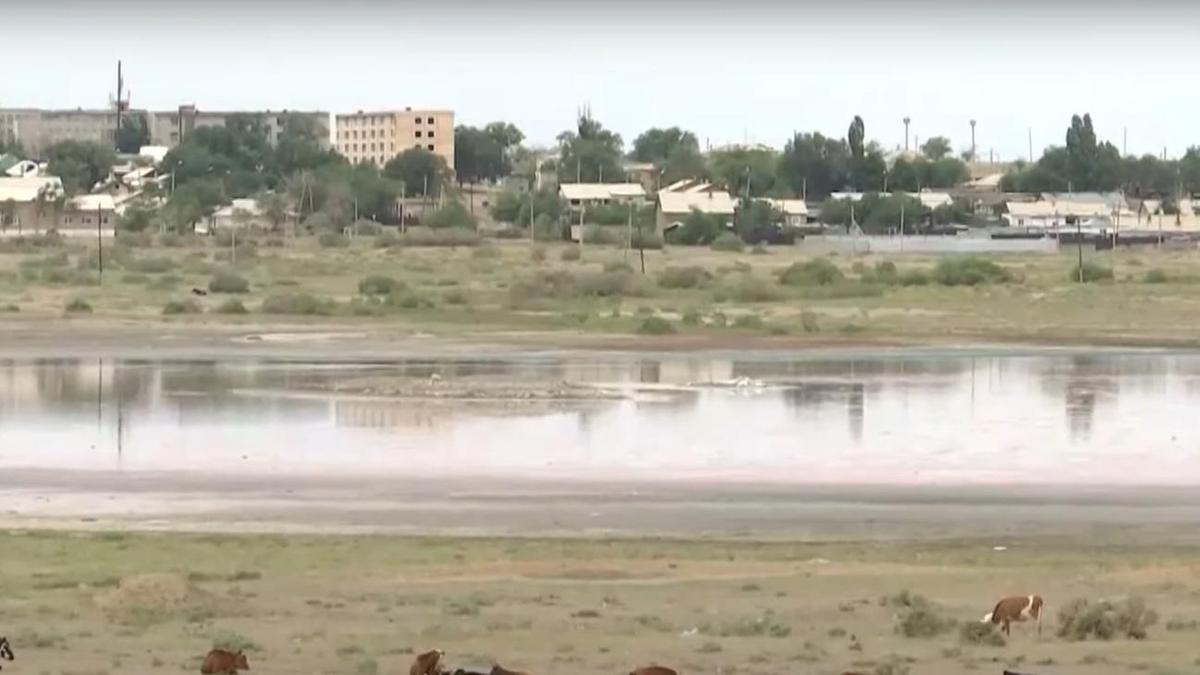 Озеро, куда сливают сточные воды в Карагандинской области