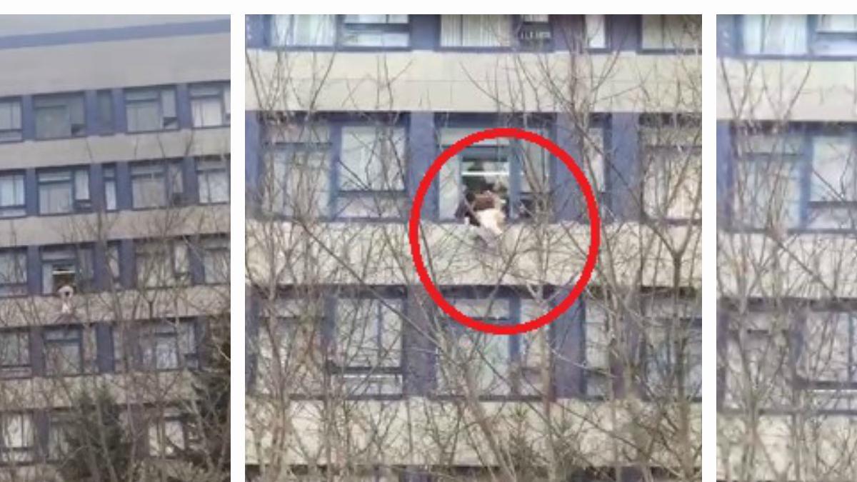 Выпал студент из общежития. Студент ТУСУР выпал из окна. Студент СИБГУТИ выпал из окна. Студент МГУ выпал из окна. Студентка педагогического выпала из окна.