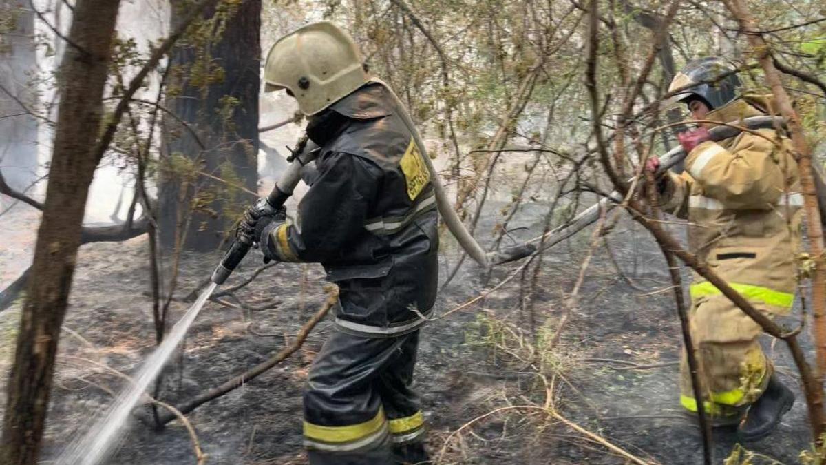 Пожар в Абайской области