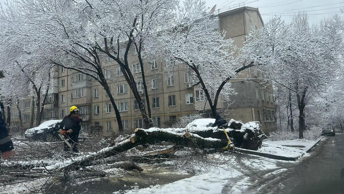 Дерево упало во дворе дома