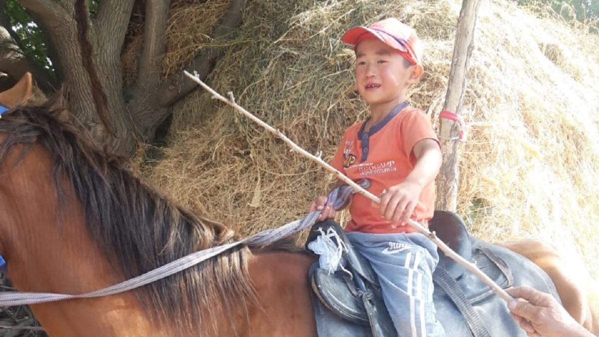 Мальчик сидит на лошади в Жамбылской области