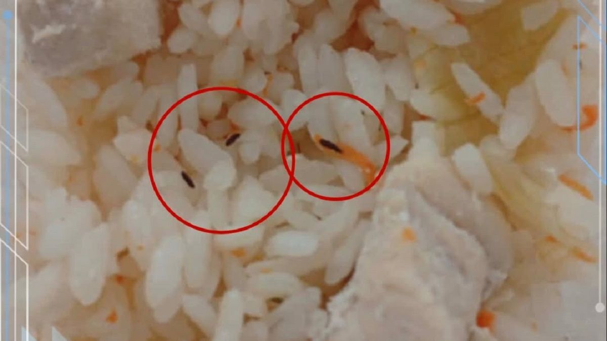 Еда с насекомыми