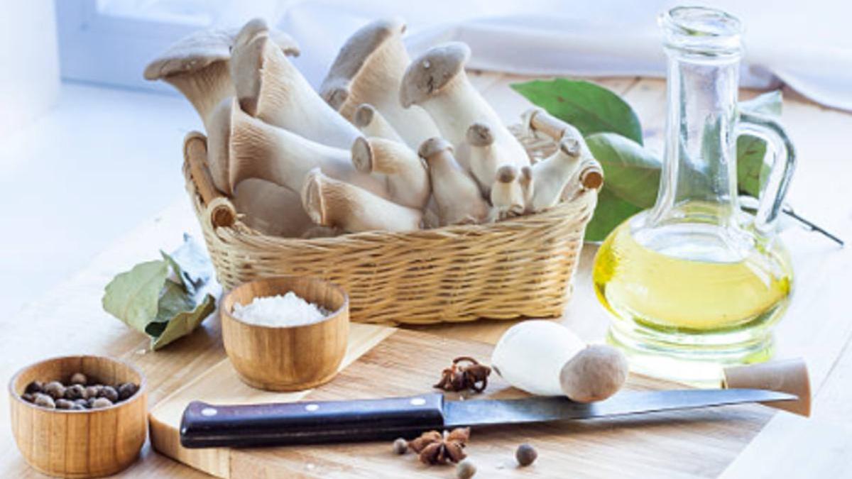 Степной гриб