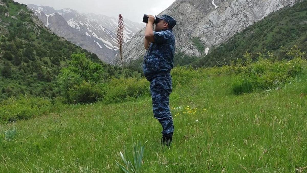 Мужчина в камуфляжной форме смотрит в бинокль