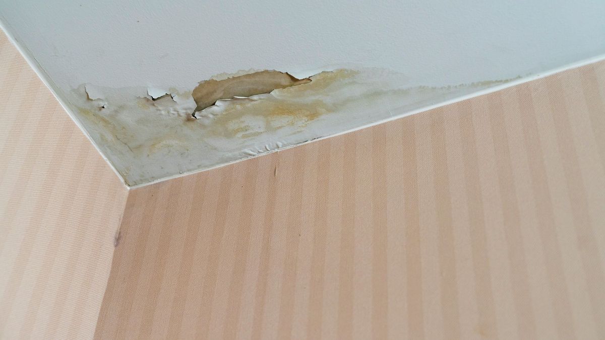 Потолок в затопленной квартире