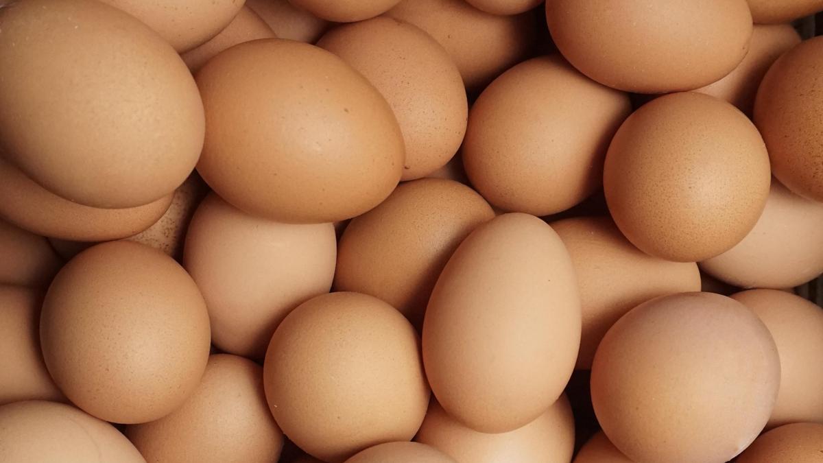 К чему приводит регулярное употребление яиц