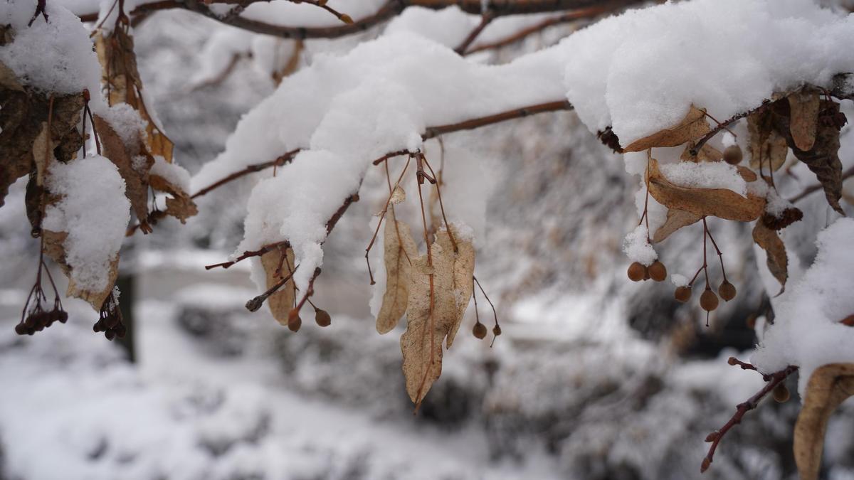 Орыс топтық порно