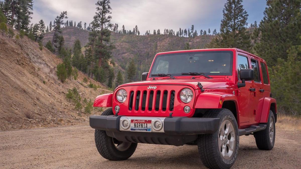 Автомобиль Jeep в лесу