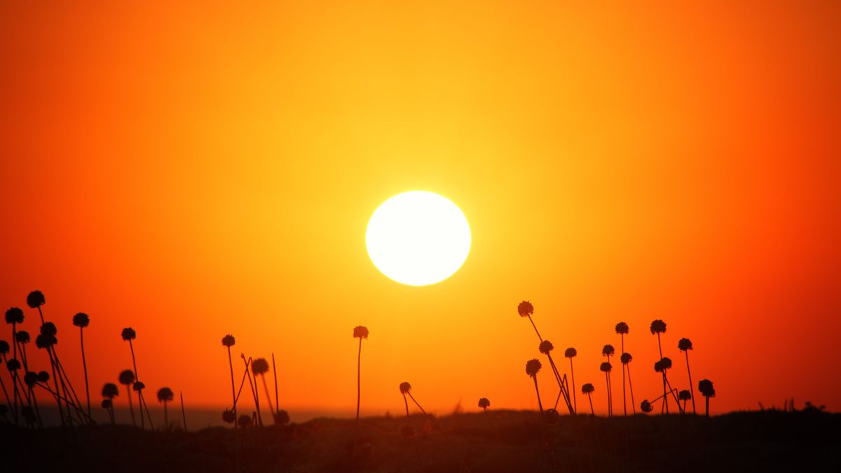 күн
