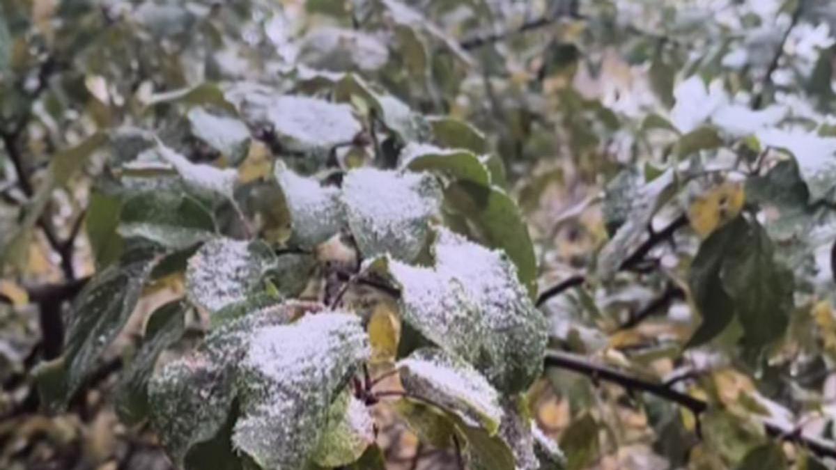 Медеуге жауған қар