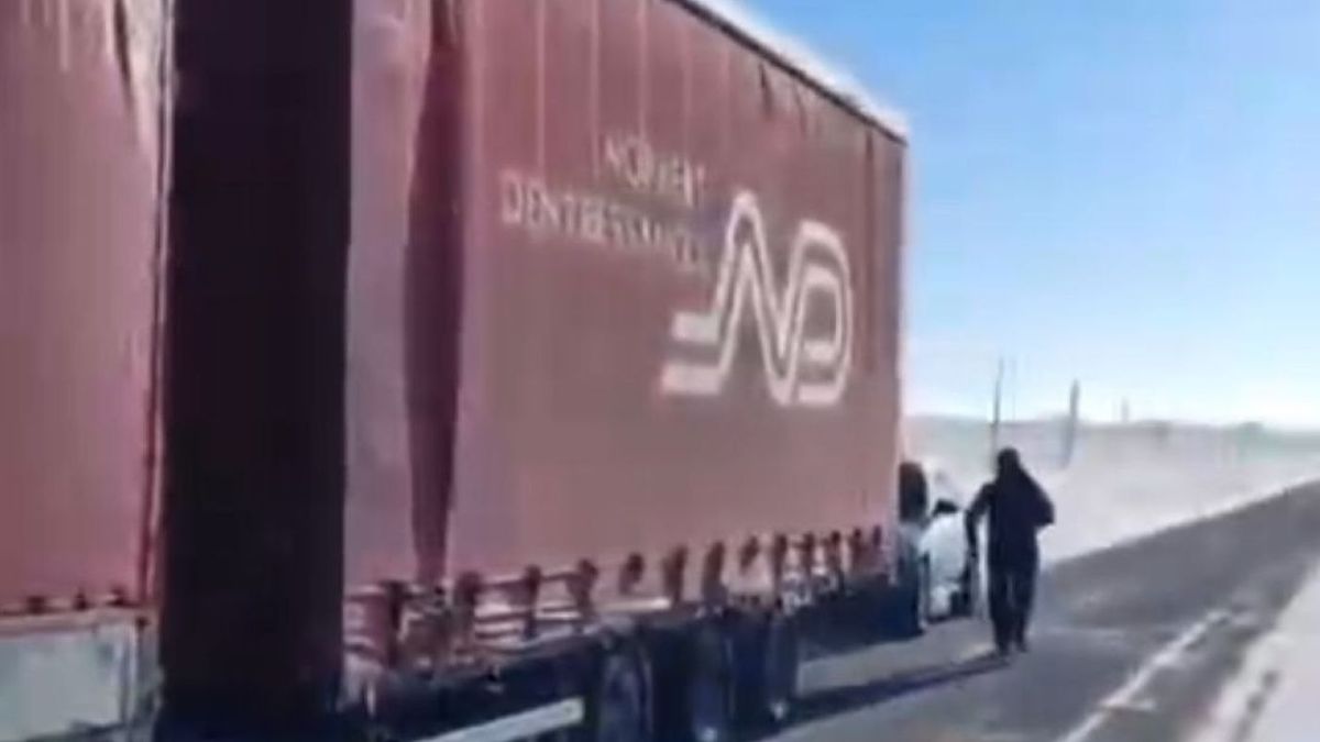 Грузовик с лошадьми