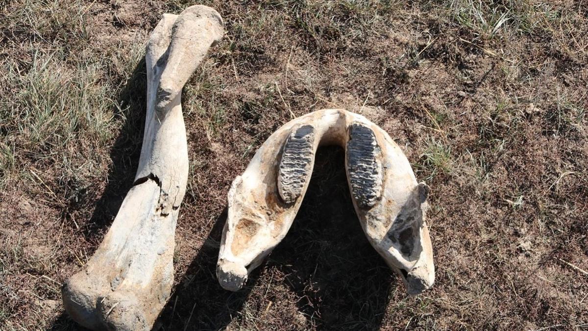 Лифттегі жапондық әйелдер Әйелі минет беріп, мастурбация жасайды watch online