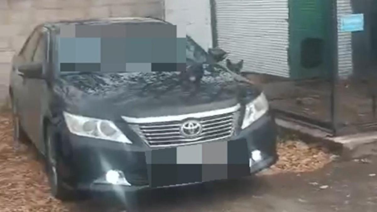 Автомобиль жителя Астаны с фальшивым номером