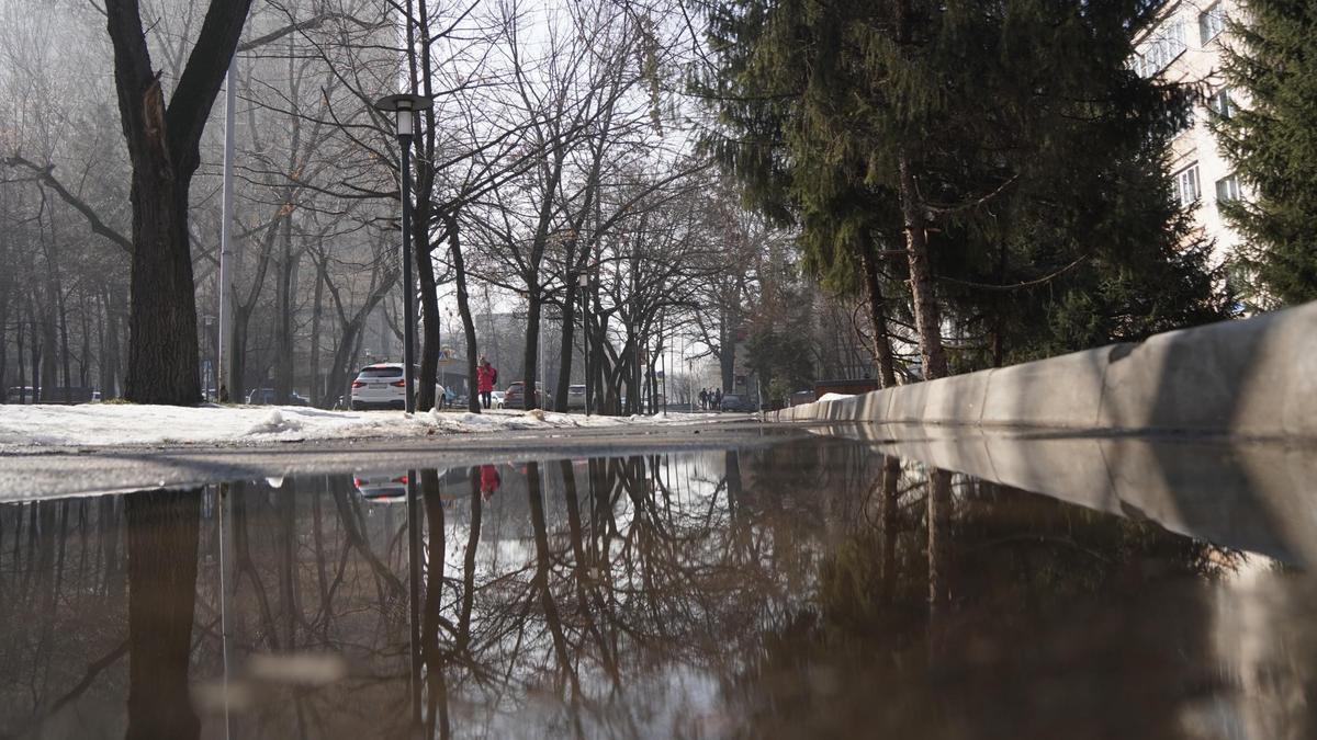 Снег и лед растаяли и оставили после себя лужу