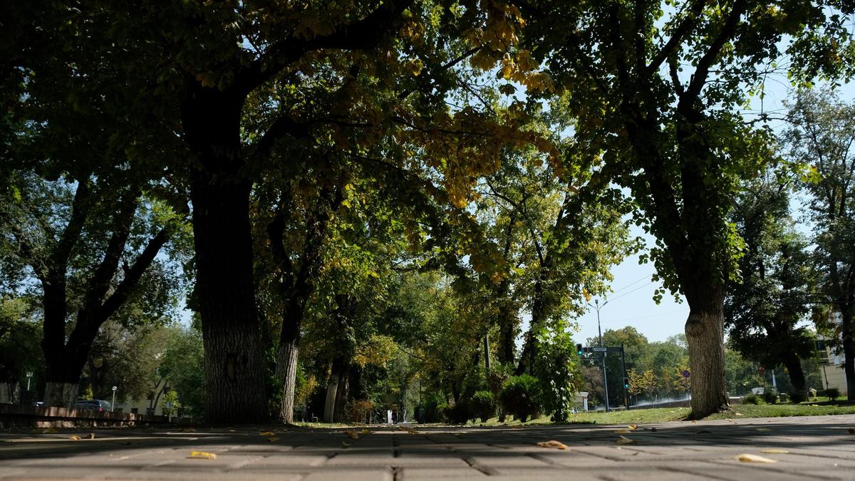 Городской вид