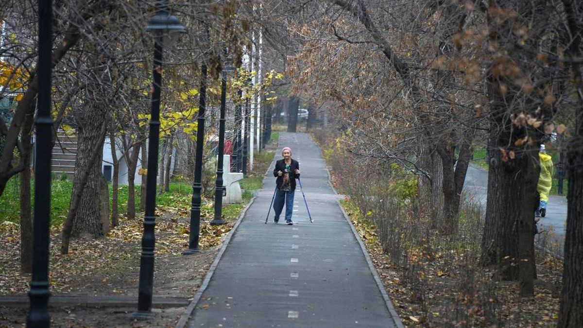 Прогулка в парке