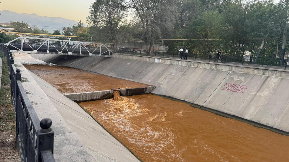 Коричневая вода в реке Есентай