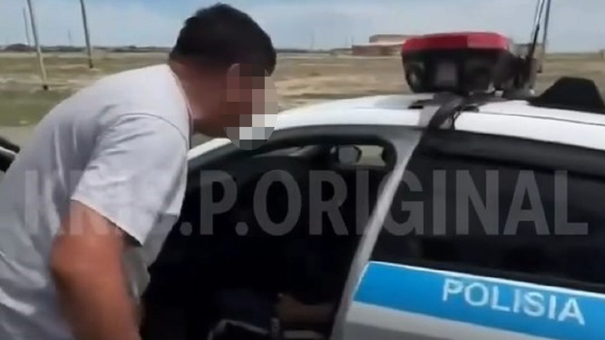 Водитель и полицейский