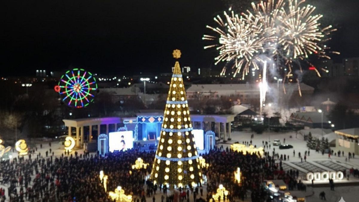 Главную новогоднюю елку зажгли в СКО