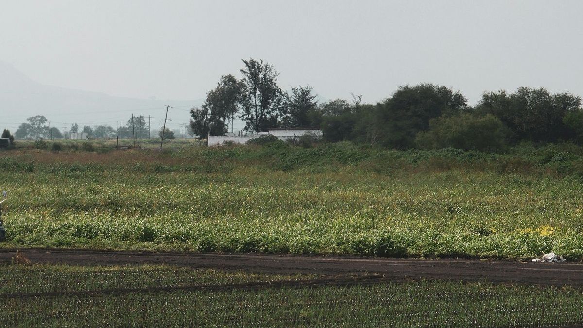 Земельный участок