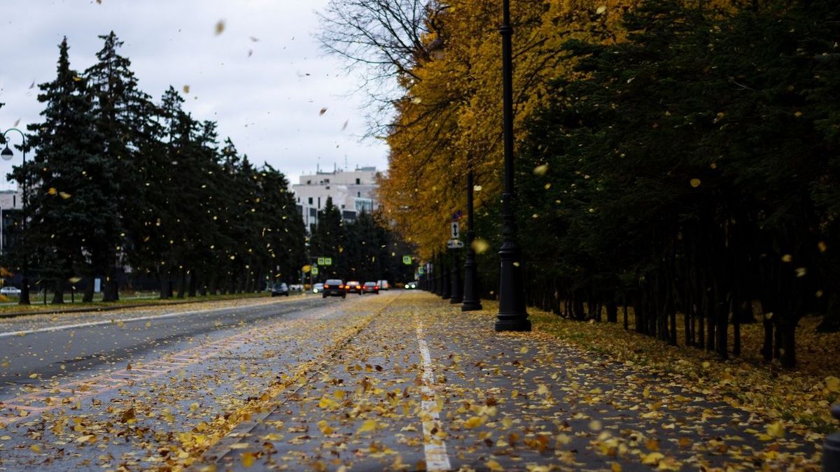 Осень