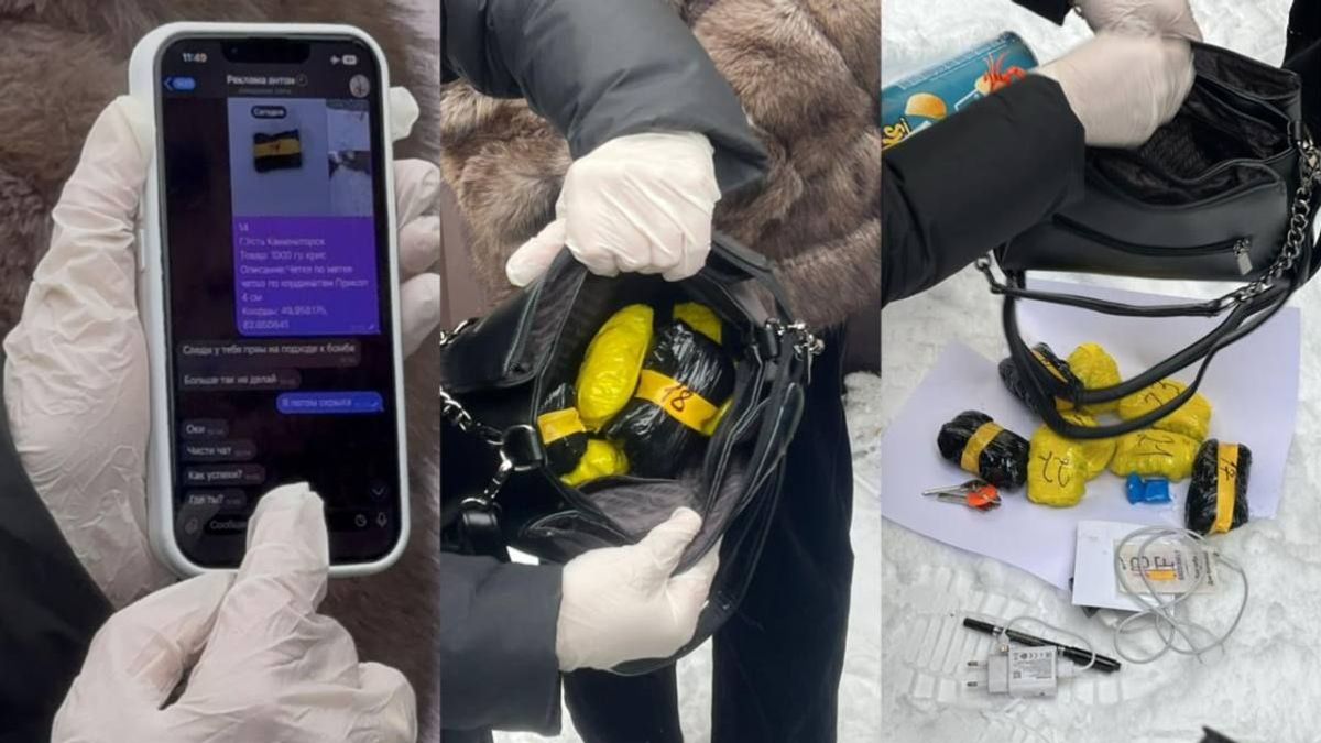 Закладчица