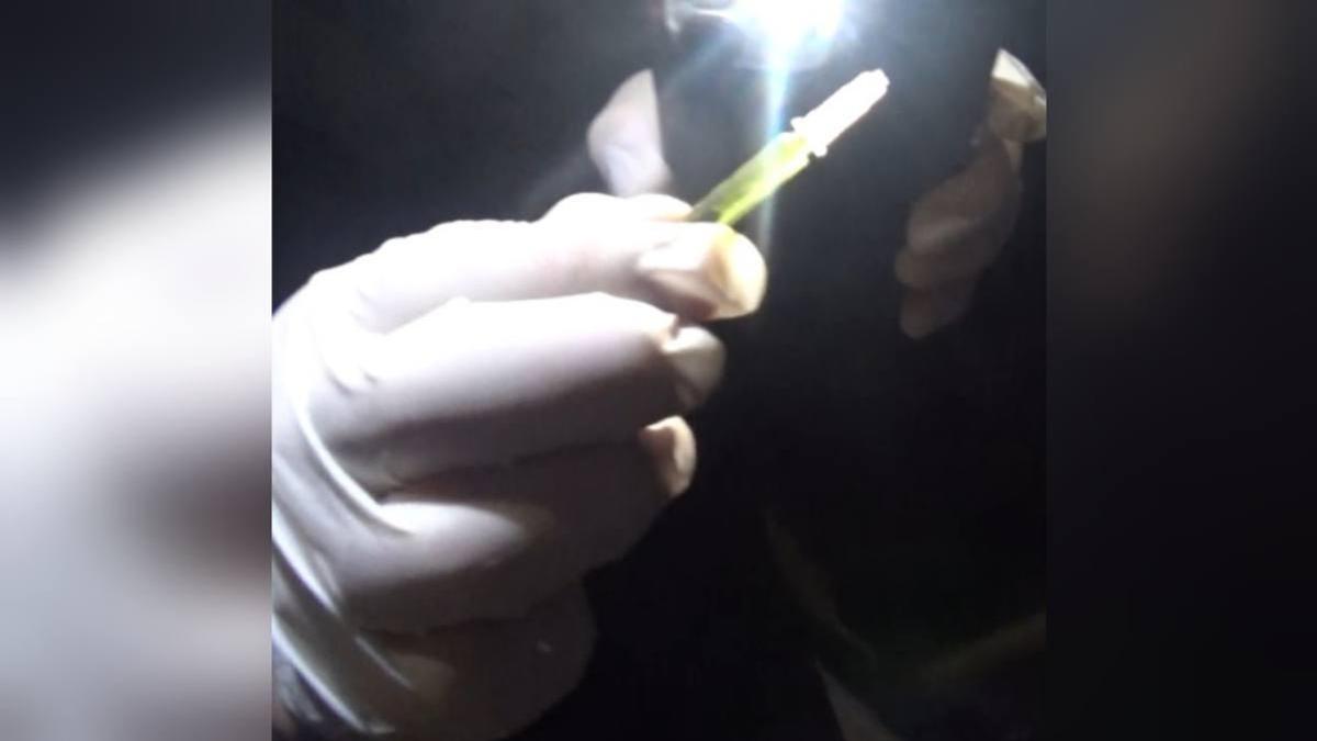 Найденное в авто масло каннабиса