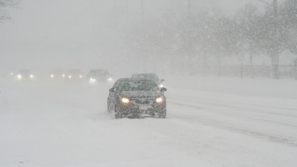 Машины едут в метель