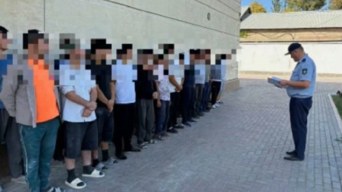 ОПМ "Мигрант" в Туркестанской области