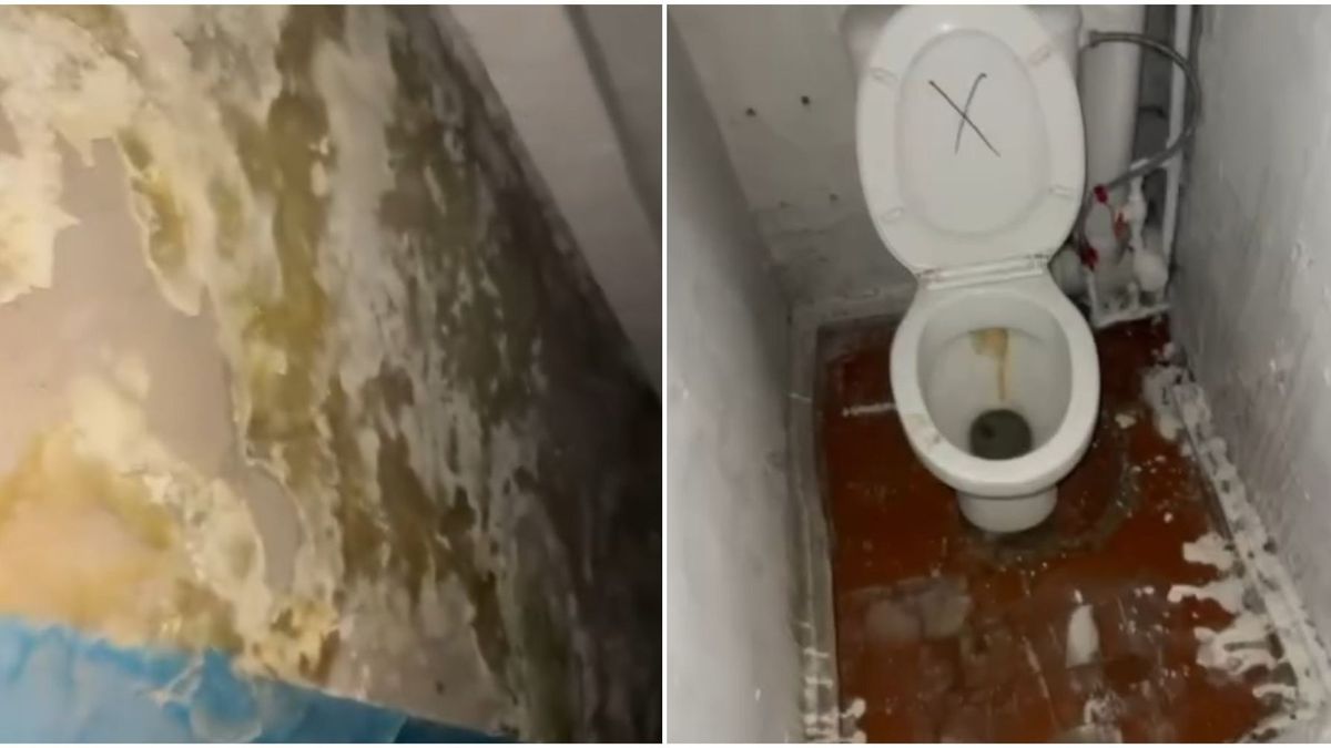 Подъезд и санузел