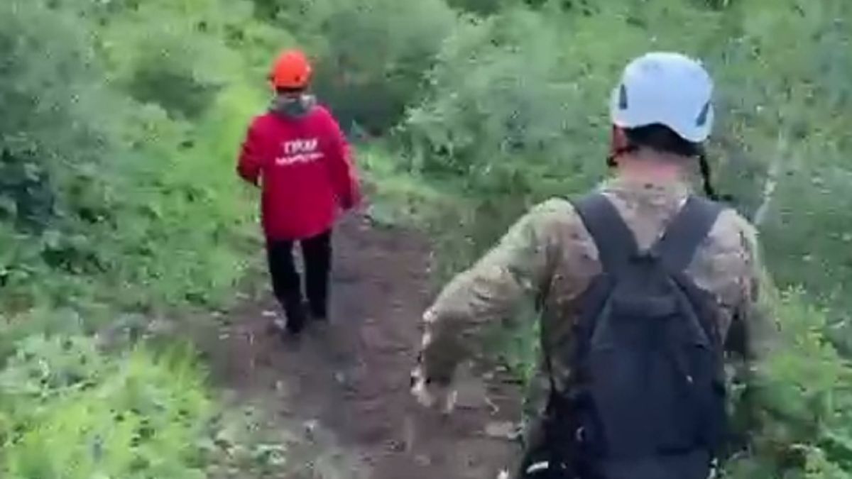 Поиски пенсионерки