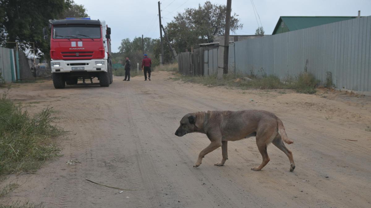 Пожары в Костанайской области