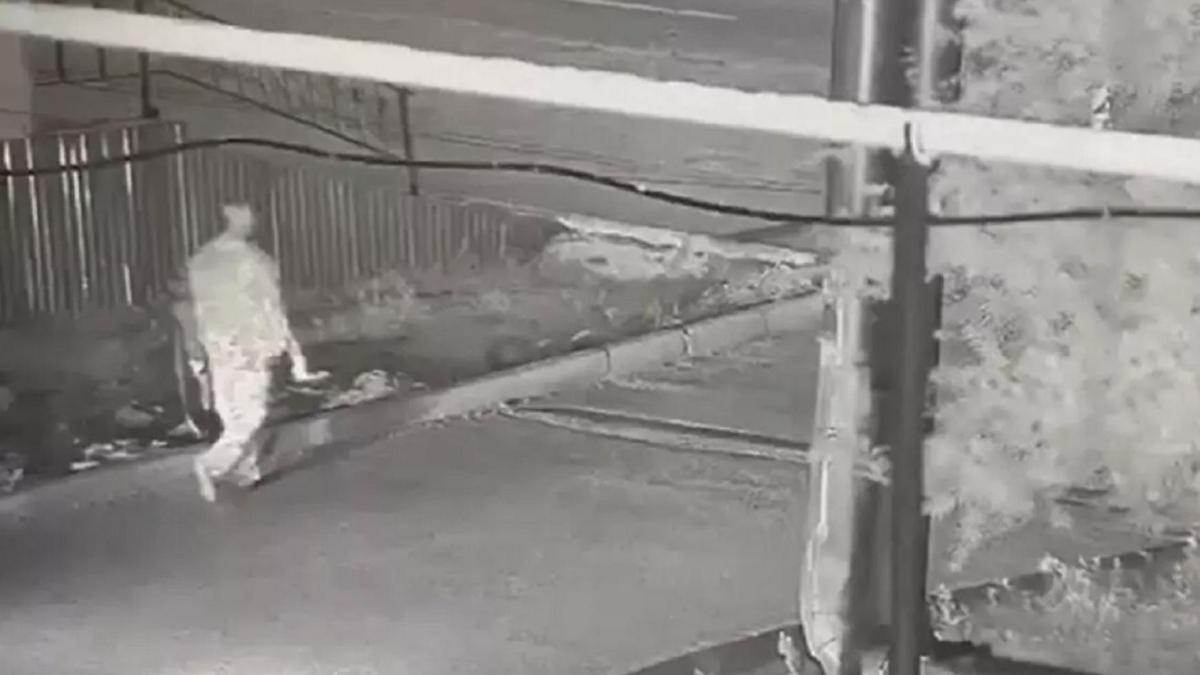 Күдікті Күдікті