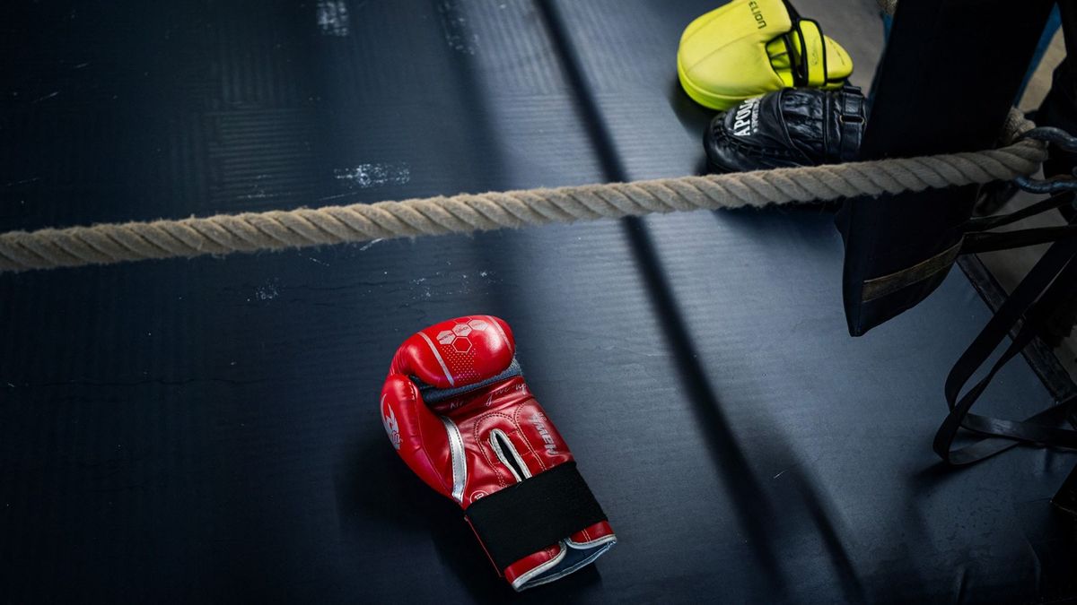 бокс қолғабы