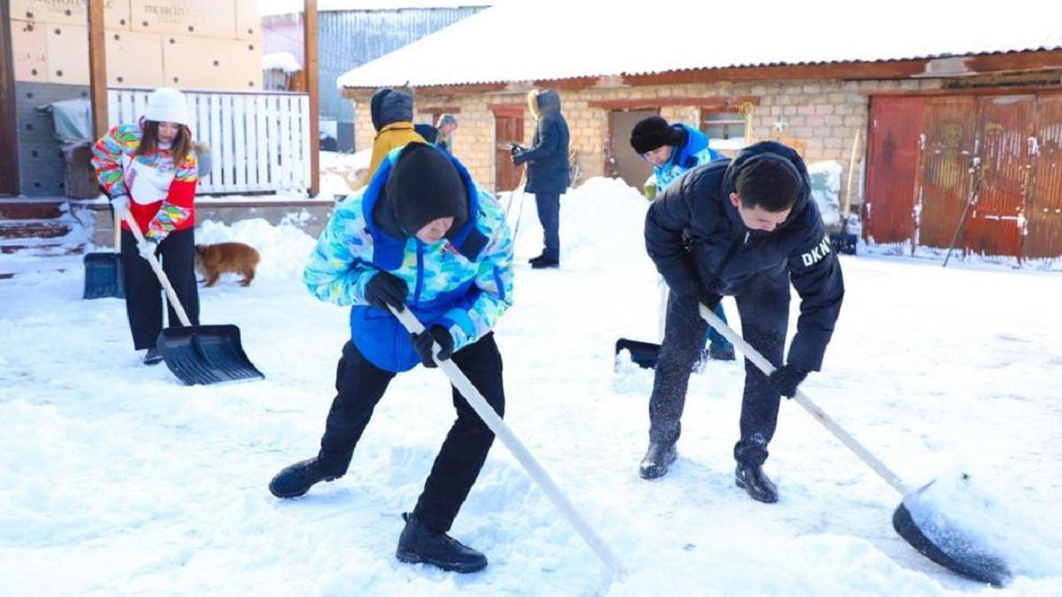 Волонтеры