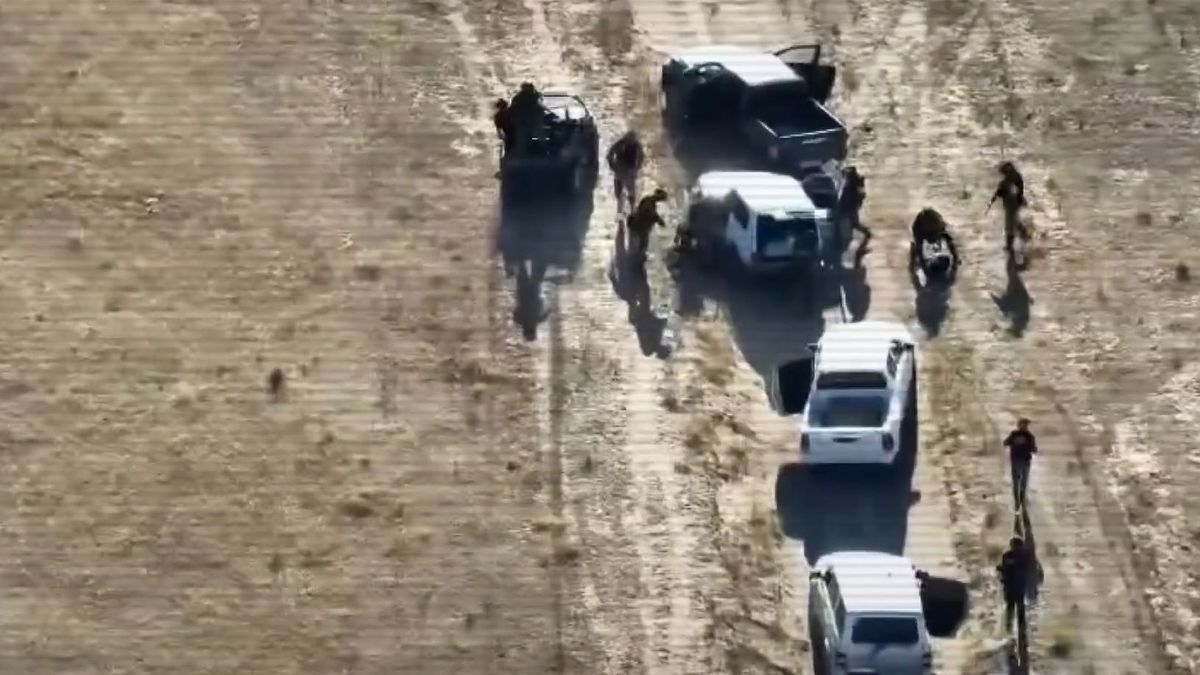 Задержание подозреваемых