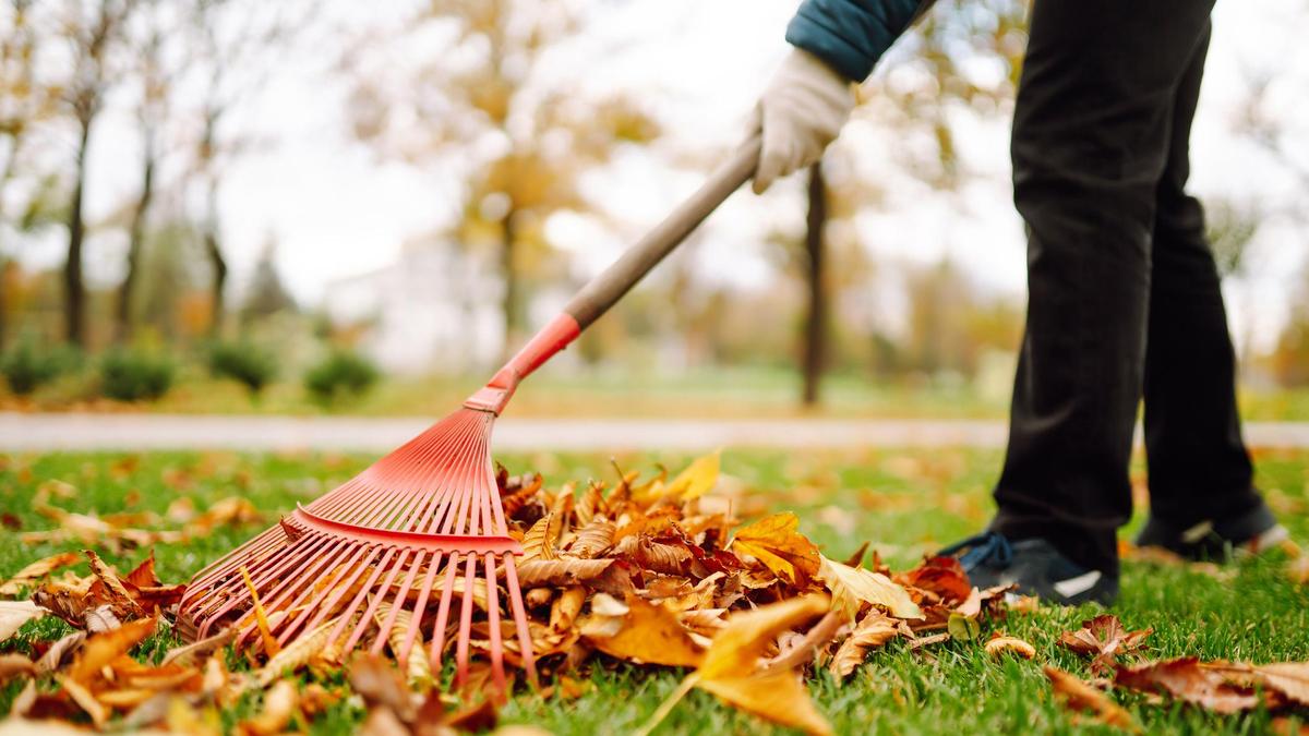 Общественные работы