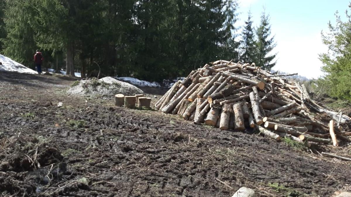 Поленья свалены в кучу