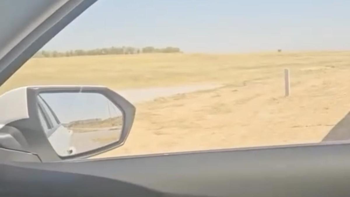 Шымкентте салынатын жаңа стадионның құрылыс алаңы Шымкентте салынатын жаңа стадионның құрылыс алаңы