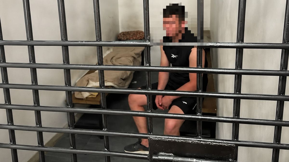 Подозреваемый