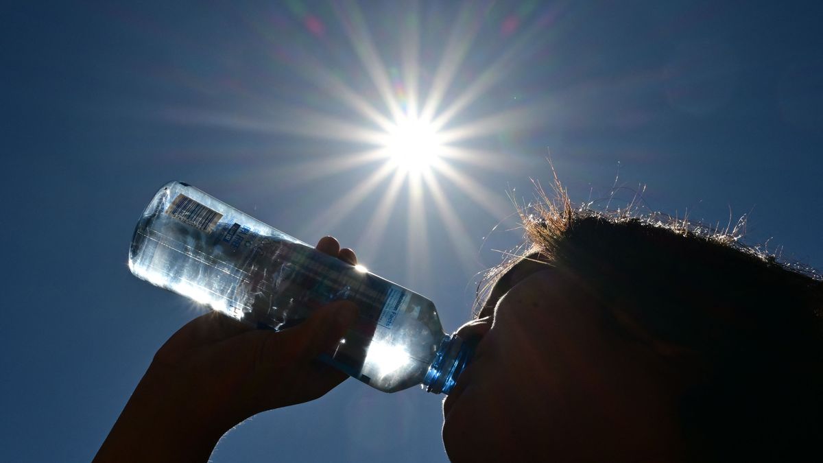 Пьет воду от жары