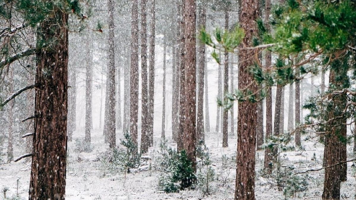 Снег, метель и заморозки ожидаются в Казахстане в понедельник